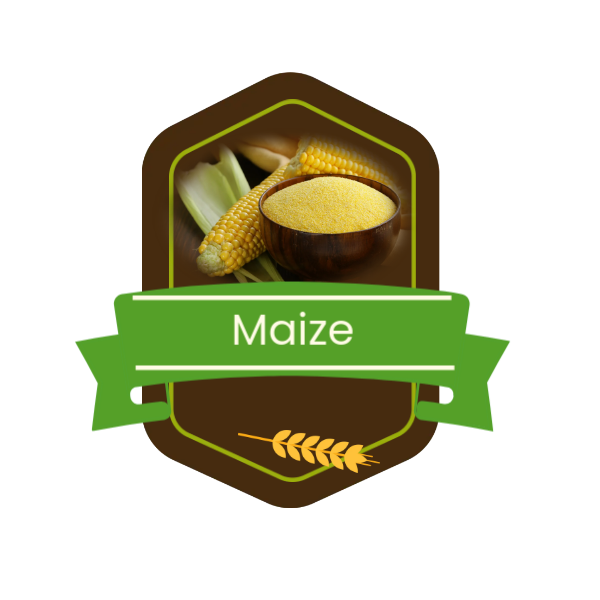 maize - Made with PosterMyWall